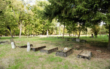 Groby na cmentarzu mennonickim w Barcicach