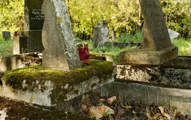 Groby na cmentarzu mennonickim w Barcicach