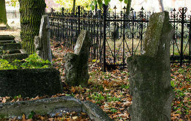Zdjęcie przedstawia groby na dawnym cmentarzu ewangelickim w Ryjewie