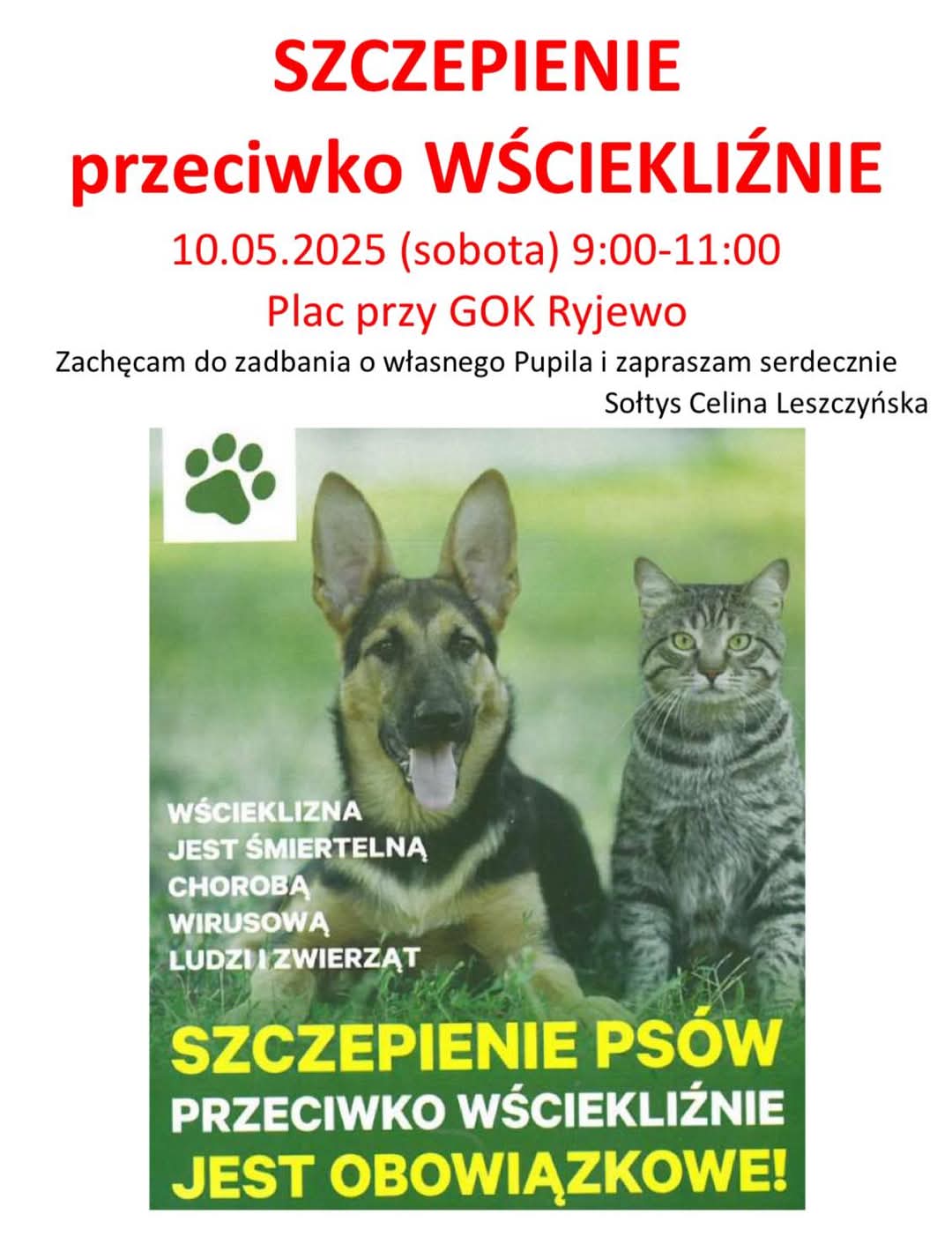szczepienie przeciw wściekliźnie