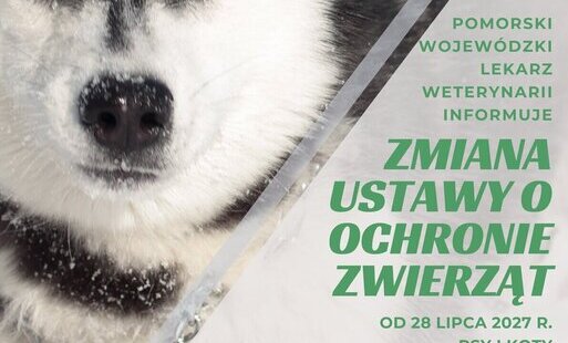 Zdjęcie do Zmiana przepis&oacute;w dotyczących ochrony zwierząt w zakresie utrzymania ps&oacute;w i kot&oacute;w 