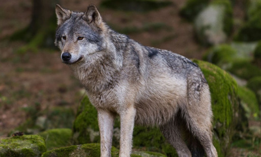 Zdjęcie artykułu z dnia 09-01-2026